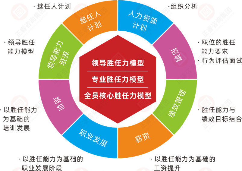 人力资源胜任力模型